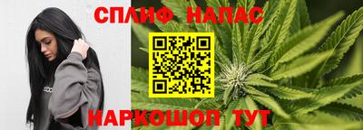 стафф Дубна