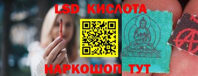 стафф Дубна