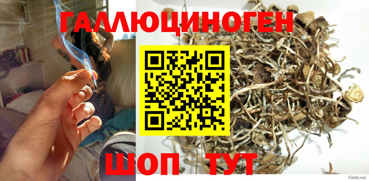 Новороссийск  Псилоцибиновые грибы MAGIC MUSHROOMS  Вход с VPN 